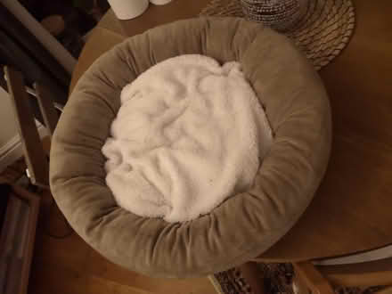 Photo of free Kitten bed (Se15 3jz) #1