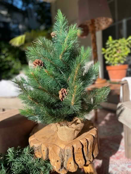 Photo of free Fake potted pine tree (Los Altos) #1