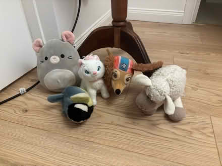 Photo of free Soft toys (Stranmillis, Belfast, BT9) #2