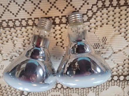 Photo of free 2 incadescent bulbs (kiz 7p3) #1