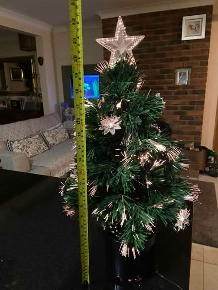 Photo of free Small Christmas Tree (Sheddingdean RH15) #1