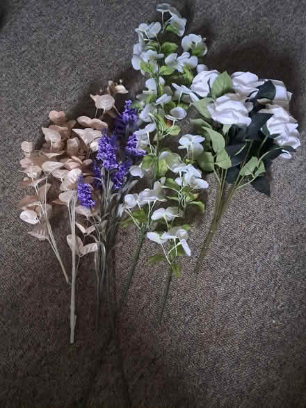 Photo of free Fabric flowers (TA1) #1