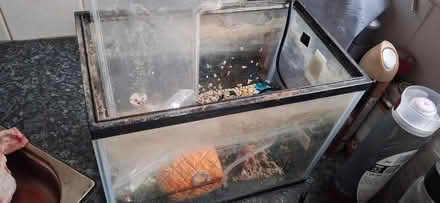 Photo of free Small aquarium set up (Marlow SL7) #1