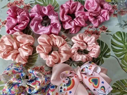 Photo of free Hair bobbles/clips (SK14) #1