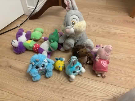 Photo of free Soft toys (Stranmillis, Belfast, BT9) #4