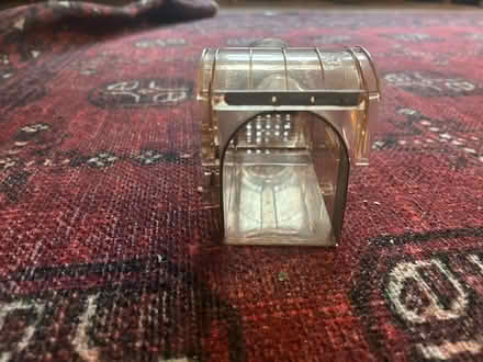 Photo of free Mouse ‘motel’ ethical mice catcher (Streatham Hill) #3