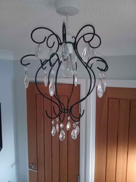 Photo of free Ceiling light shade (Pitsea SS13) #1