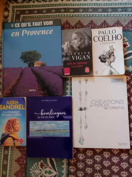 Photo of free French books (Finglas) #1