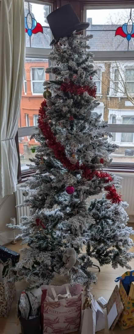 Photo of free Christmas tree (Dalston Junction) #1