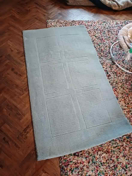 Photo of free Duck egg blue rug (Slapton LU7 9DA) #1