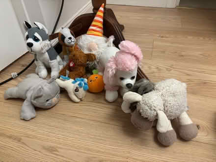 Photo of free Soft toys (Stranmillis, Belfast, BT9) #1