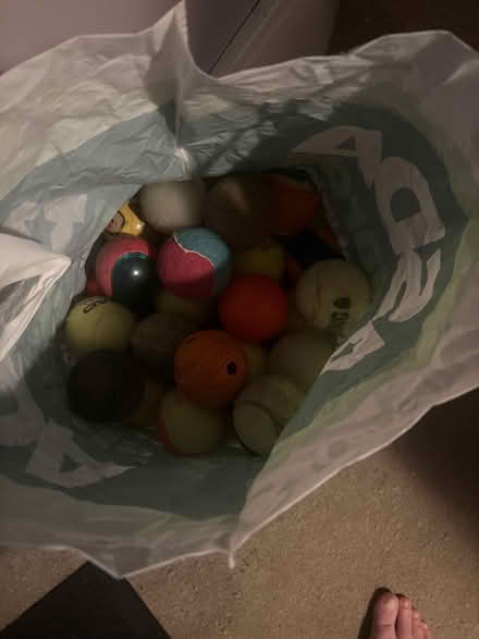 Photo of free Bag full of balls for dogs (RG2 Shinfield) #1