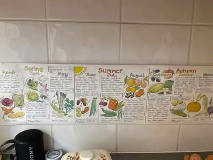 Photo of free Seasonal veggies poster (Seven Dials BN1) #1