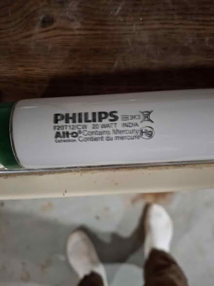 Photo of free Fluorescent bulb (Sandy Hill) #2