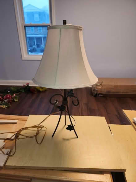 Photo of free Metal Leaves Lamp (Ambler) #1