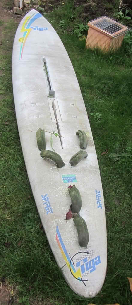 Photo of free Windsurfer Board (Girton) #3