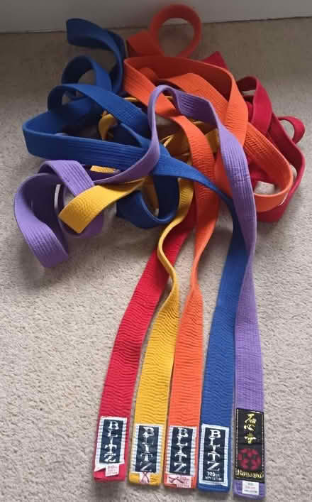 Photo of free Karate/judo belts (Allerton L18) #1