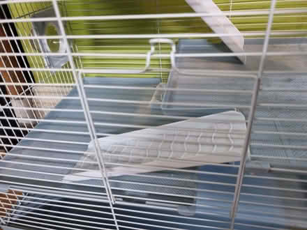 Photo of free Hamster cage (Huyton L36) #4