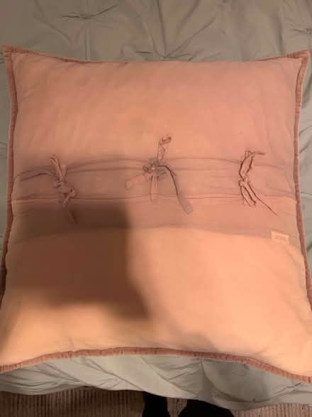 Photo of free Pink throw pillow (Richmond TW10) #2