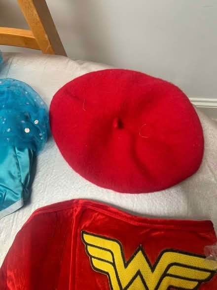 Photo of free Girls fancy dress costumes as new (Southall UB1) #2