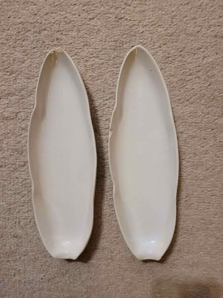 Photo of free Two dishes suitable for sweetcorn cobs (Newcastle Central NE1) #1