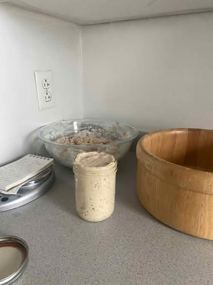 Photo of free Sourdough starter (Ithaca) #2