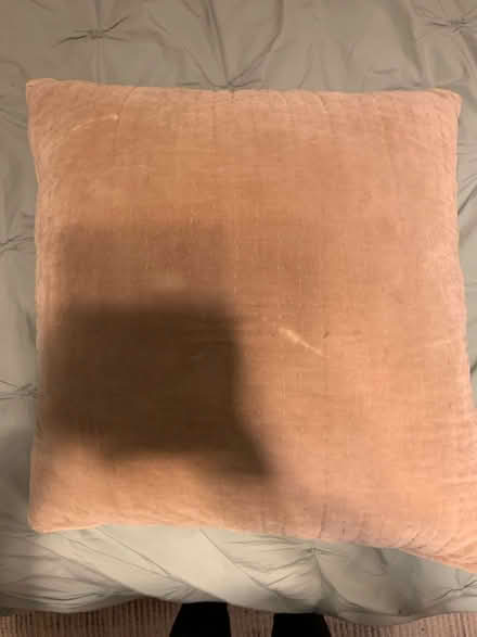 Photo of free Pink throw pillow (Richmond TW10) #1