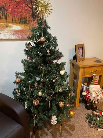 Photo of free Artificial Christmas tree (Newlands) #1