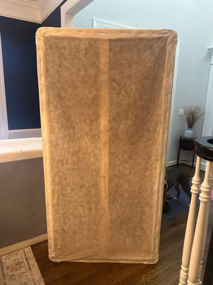 Photo of free 2 twin mattresses (Gainesville, right off 29) #4