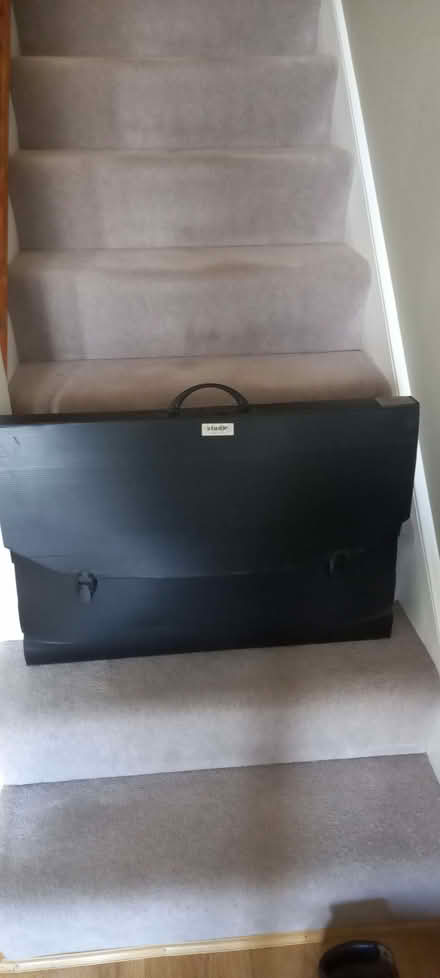 Photo of free Art Portfolio Bag (Edmonton N13) #2