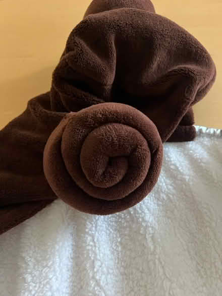 Photo of free Star Wars Princess Leia Robe (Las Palmas Park, Sunnyvalr) #3