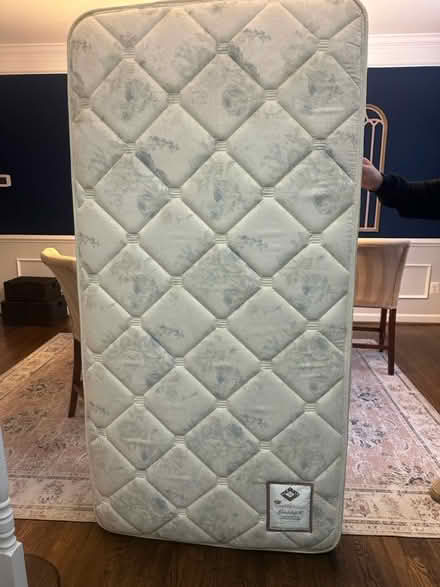 Photo of free 2 twin mattresses (Gainesville, right off 29) #1