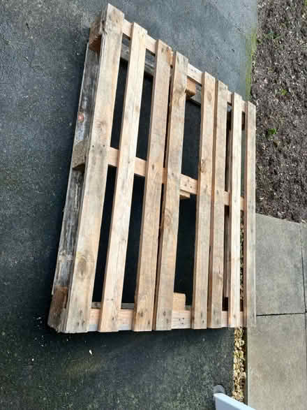 Photo of free 1 x pallet (Stapleton BS16) #1