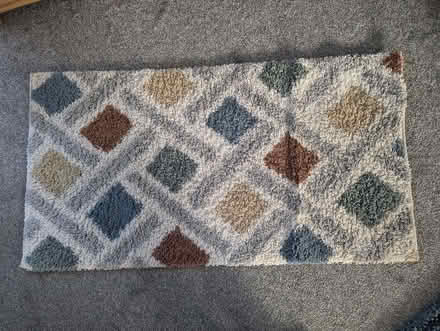 Photo of free Rug (Snapes Green WV10) #1