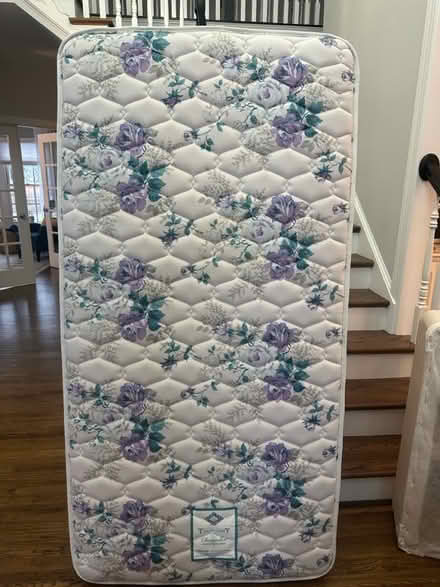 Photo of free 2 twin mattresses (Gainesville, right off 29) #2