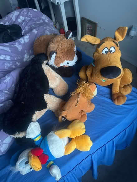 Photo of free Selection of soft toys (Whiteinch G14) #2