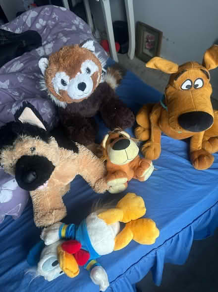 Photo of free Selection of soft toys (Whiteinch G14) #1