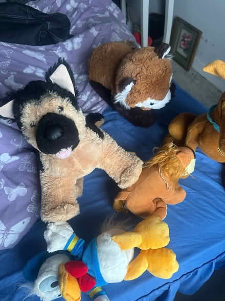 Photo of free Selection of soft toys (Whiteinch G14) #3