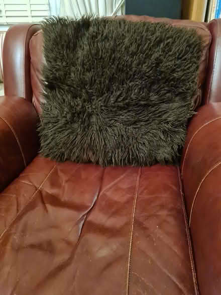 Photo of free Large chocolate brown fluffy cushion (Peacehaven BN10) #1