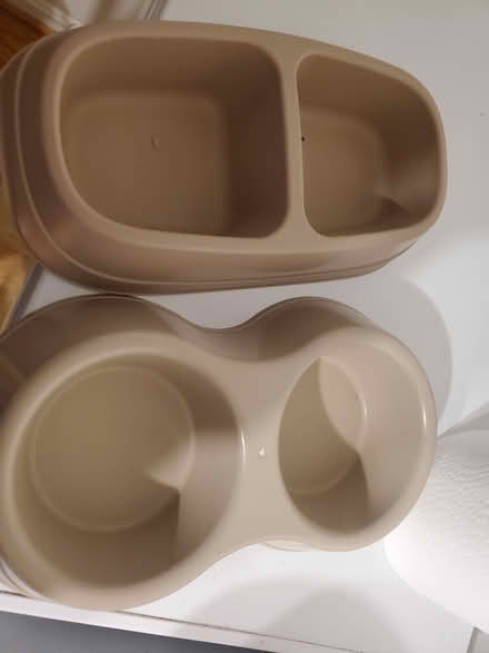 Photo of free Plastic Dogs Bowls (Hyattsville 20785) #1