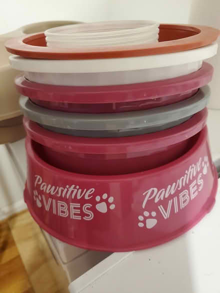 Photo of free Plastic Dogs Bowls (Hyattsville 20785) #2