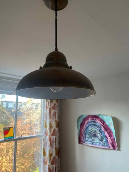 Photo of free Pair of industrial style lampshades and Edison bulbs (Osney OX2) #1