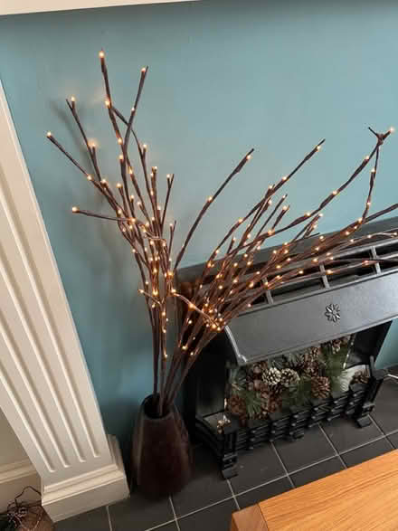 Photo of free Plastic light twigs/wooden vase (N22 near Durnsford Road) #1
