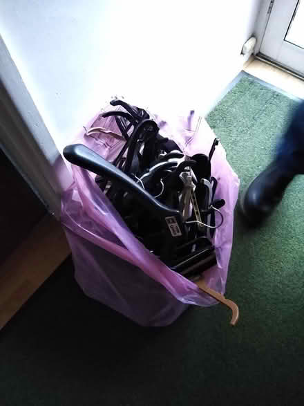 Photo of free Plastic hangers (Elms, Leigh on Sea SS9) #1