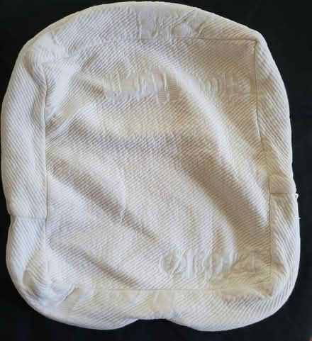 Photo of free Square Pillowcase (Crescent Park) #1