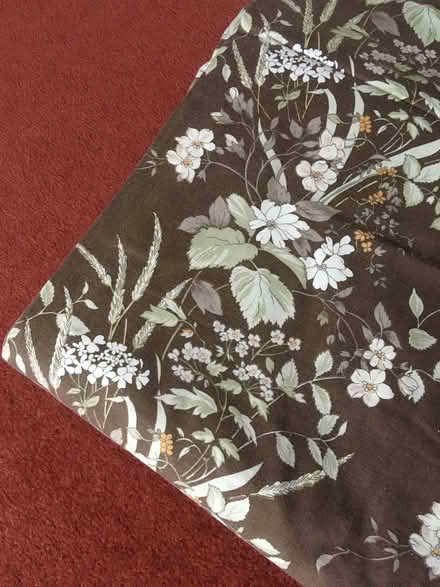 Photo of free Two Pairs of Brown Floral Curtains (Garden City OX5) #1