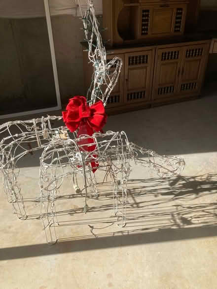 Photo of free Lighted Reindeer Decorations (Newark, DE) #1