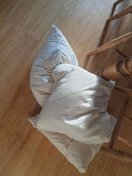 Photo of free Feather cushions (Chalford Hill GL6) #1