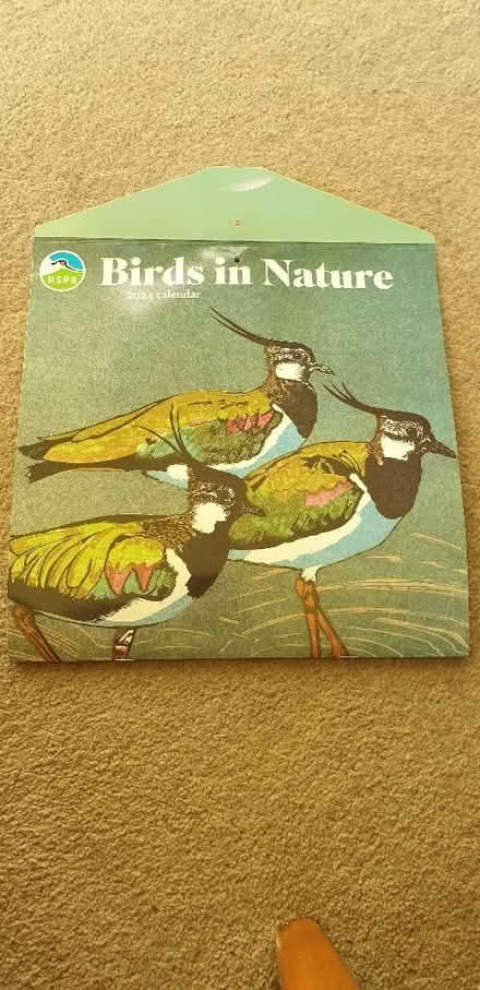 Photo of free Beautiful bird pictures / 2024 RSPB calender (Thorpe Hamlet NR1) #2