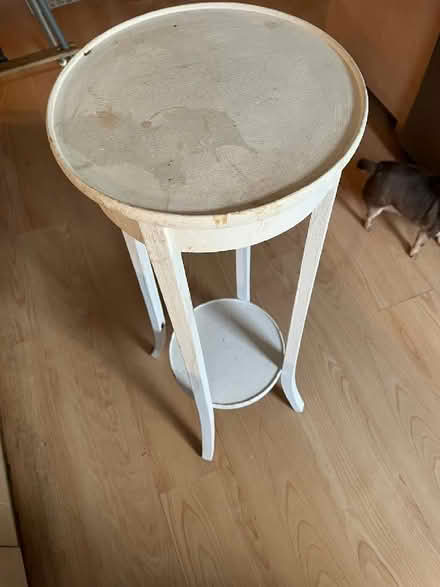 Photo of free Plant stand. Solid Wood (Polegate BN24) #1